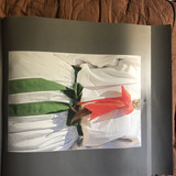 IMG 2027