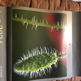 IMG 2013