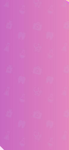 IMG 2081.png