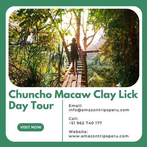 Chuncho Macaw Clay Lick Day Tour.jpg