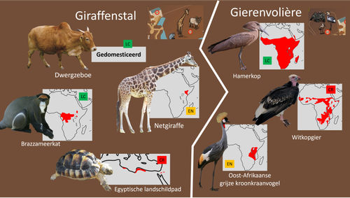 Giraffenstal.png