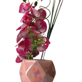 Imagem do WhatsApp de 2024 10 24 à s 09.31.10 0bdeaf12 removebg preview.png