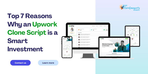 Top 7 Reasons Why an Upwork Clone Script is a Smart Investment.jpg