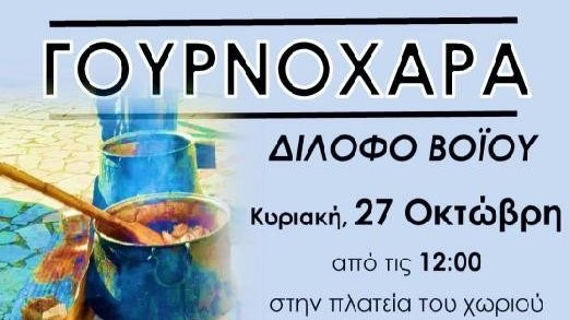 κοζάνη, ειδήσεις, νέα, Πτολεμαΐδα 