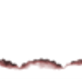 Untitled2682 20241024174105