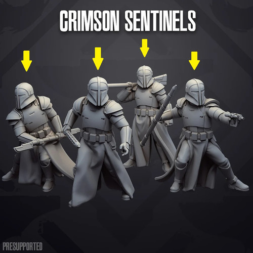 CRIMSON SENTINELS.jpg