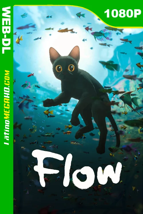 Flow (2024) WEB-DL AMZN 1080P