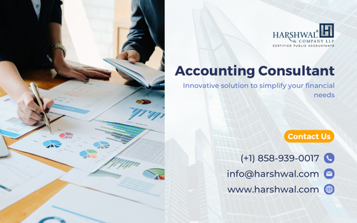Accounting Consultant innovative solution by HCLLP.png