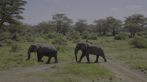 20250107 140223 923450.png