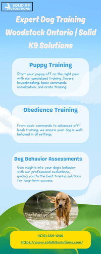 Expert Dog Training Woodstock Ontario Solid K9 Solutions.jpg