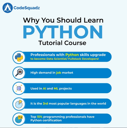 WHY SHOULE YOU LEARN PYTHON - CODESQUADZ.png