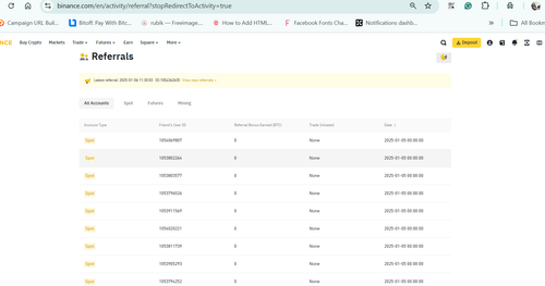 Screenshot 2025 01 06 131828.png