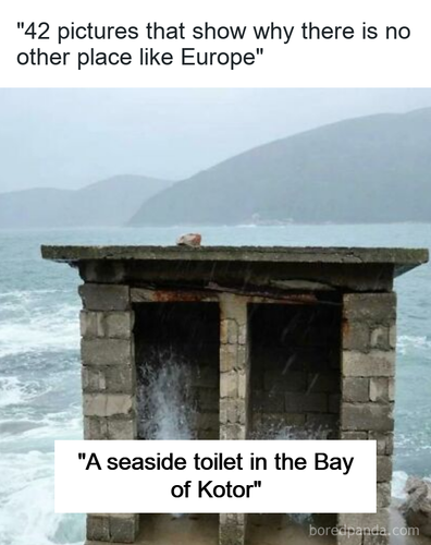 4ad2e2b0 30ad 41fd bd8a 41cef0525e9c.png