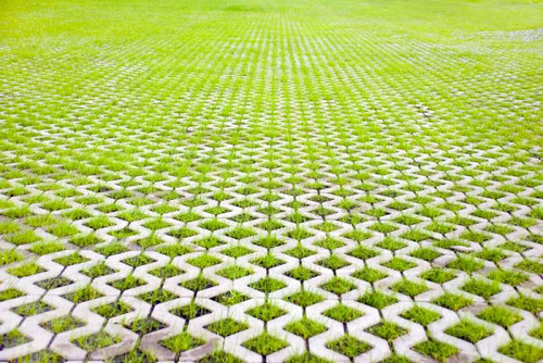 10 Grass Pavers for Driveway.jpg