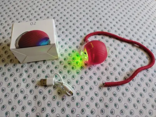 br 11134103 7r98o m4kijf65lkch00.webp