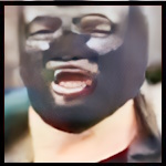 Royal Spider.jpg