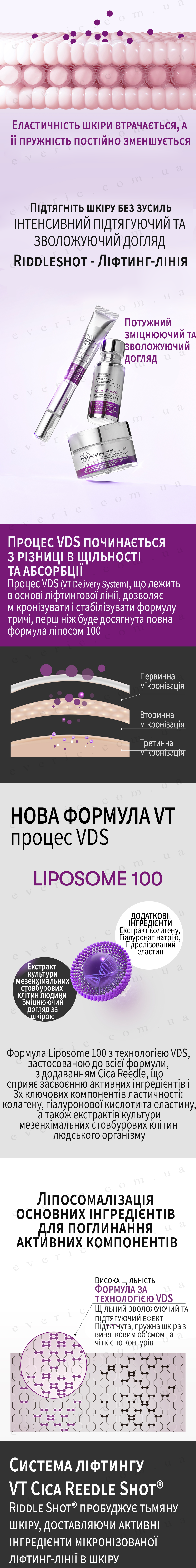 intro копия