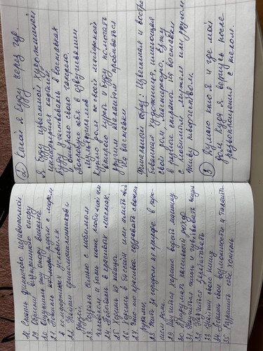 1736193617 1292150008.jpg