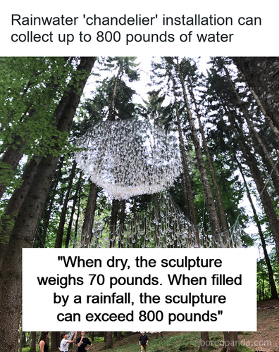 aafd37cf 6ee7 4485 a492 957f219fdf39.png