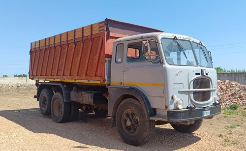 470238458 10228146567389801 9153291312642511954 n.jpg