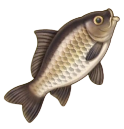 BTH FISH 5.png