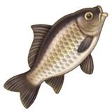 BTH FISH 5