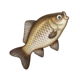 BTH FISH 4