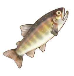 BTH FISH 7.png