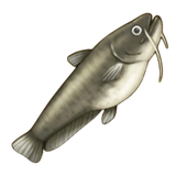 BTH FISH 9