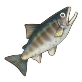 BTH FISH 8.png