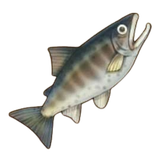 BTH FISH 8