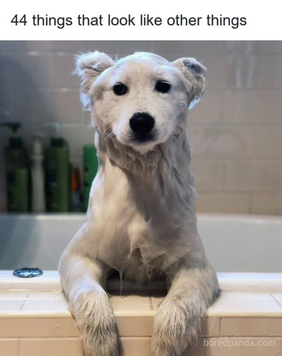 5c088adf 108b 4a9e 8c80 625729106343.png