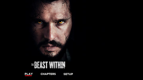 vlcsnap 2025 01 08 17h37m01s565.png