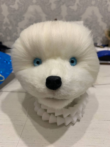 1736355594 487171661.jpg