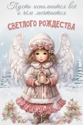 1736240498 1753748746.jpg