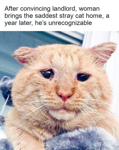 d4e0b587 72e5 42e6 b977 987cb02b3609.png