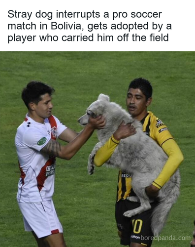 ed1504ef eb3a 48d2 9766 b795e975dca8.png