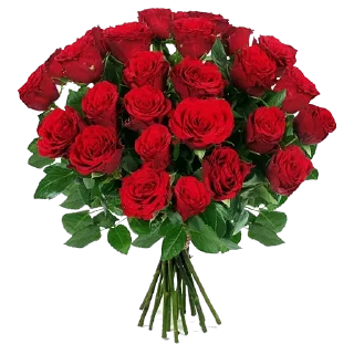 1736238072 84659565.webp