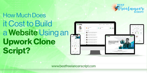 How Much Does it Cost to Build a Website Using an Upwork Clone Script?.jpg