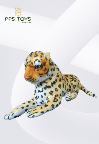 WhatsApp Image 2025 01 06 at 1.57.42 PM.jpg