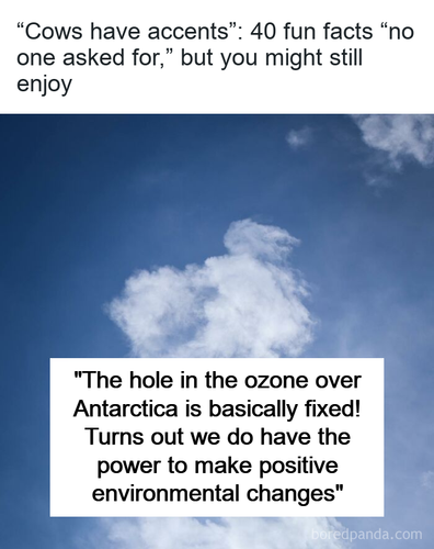 a4c6377c 6d2b 40c8 ba95 97eb2175df75.png