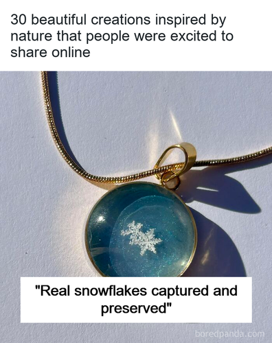 4d3bf6b1 c25a 4cd9 b9a1 294bf2af1401.png