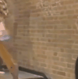 Cindy Day 3.gif