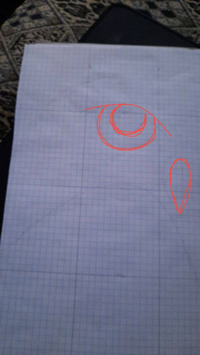 1736166936 1858113897.jpg