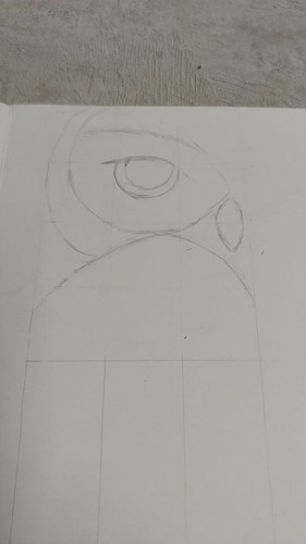 1736343666 1228735638.jpg