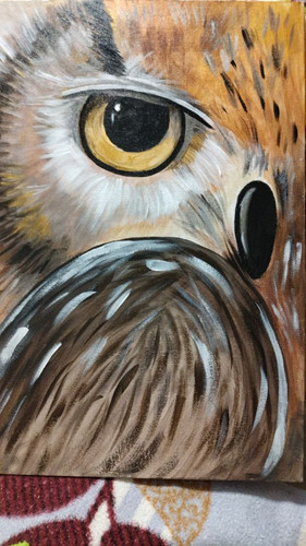 1736342060 1320025741.jpg