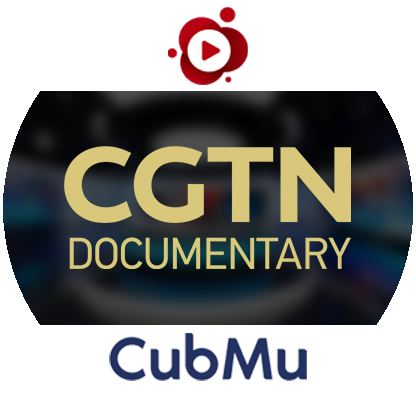 cgtndoc.png