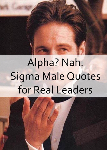 Sigma Male Quotes 23.jpg