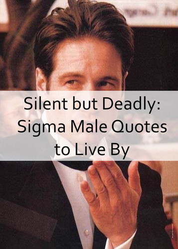 Sigma Male Quotes 840.jpg