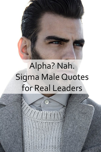 Sigma Male Quotes 45.jpg